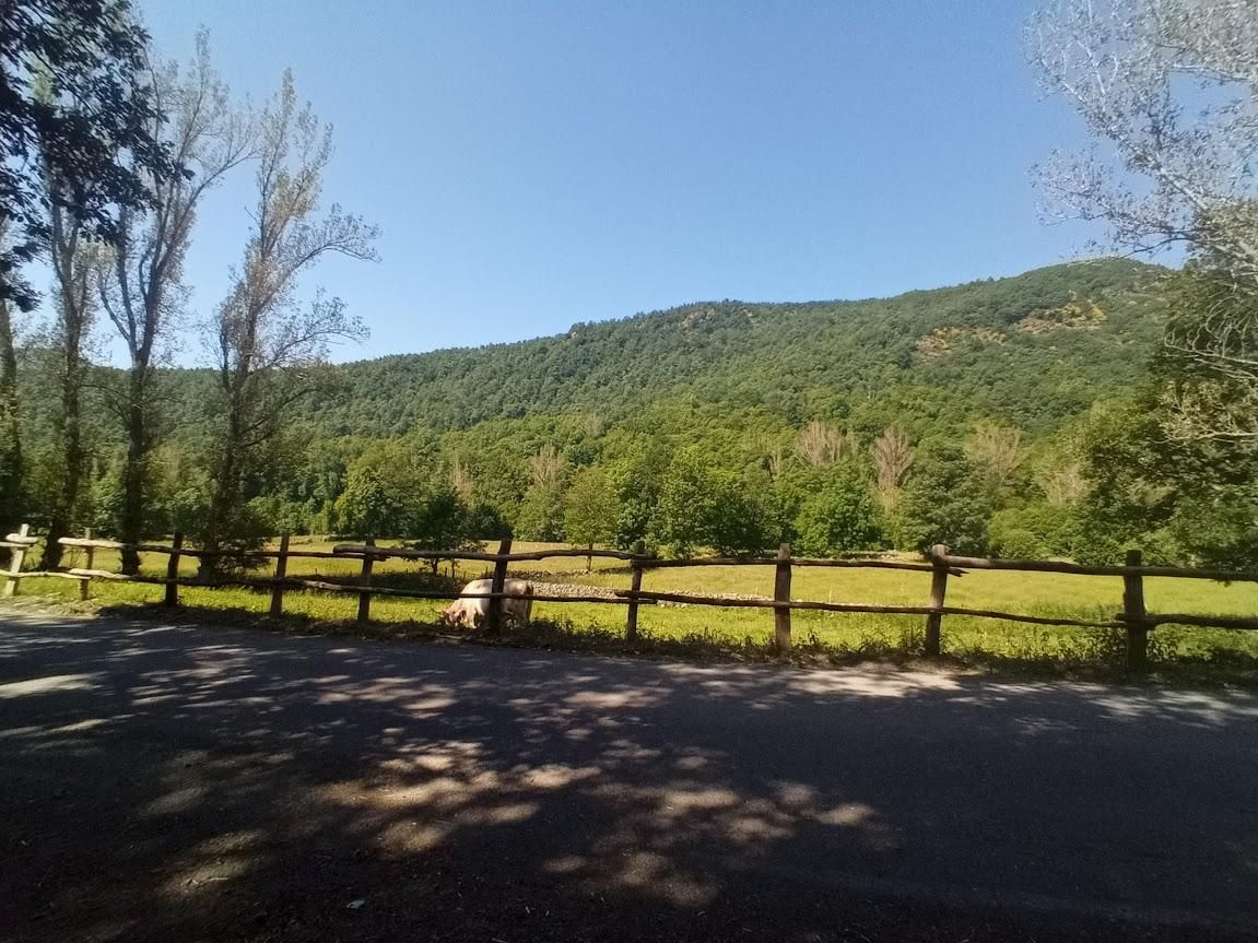 El entorno de Sosas de Laciana