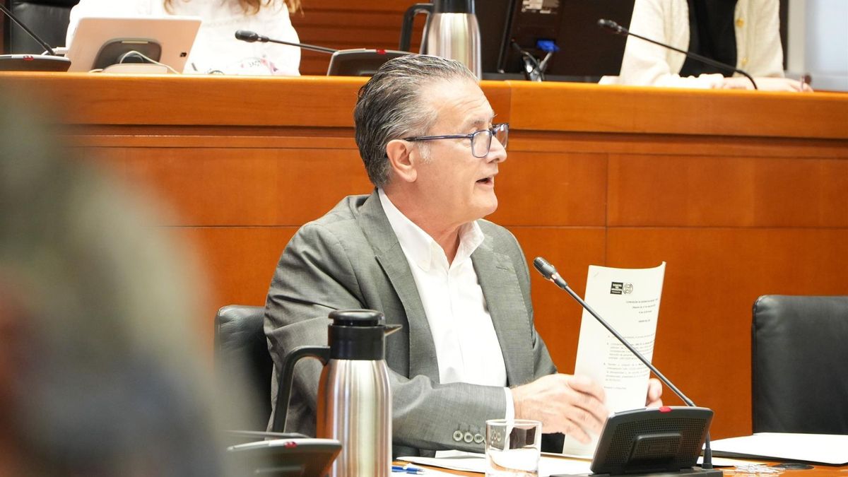 El DG de Mayores ha comparecido este martes en la comisión de Bienestar Social y Familia de las Cortes de Aragón.