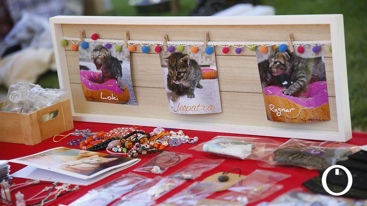Jornada de sensibilización a la ciudadanía para la adopción de animales de compañía