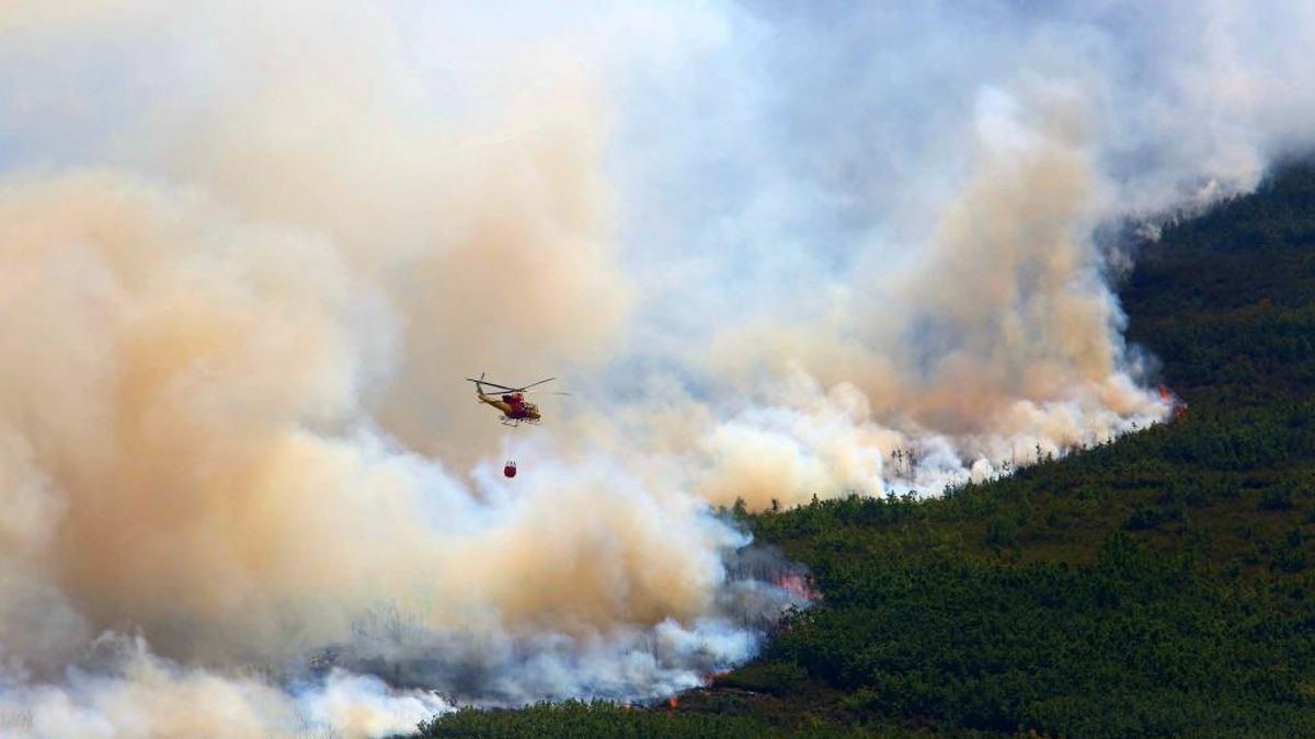 Medios de extinción en el gigantesco incendio forestal de Llamas de Cabrera en agosto de 2025, archivo.