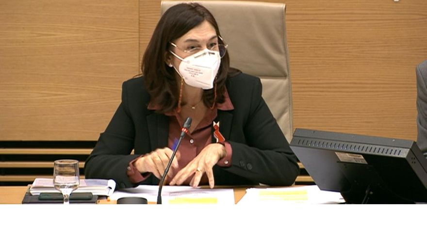 La presidenta de la CNMC denuncia falta de autonomía y “dificultades” para proteger a denunciantes e informadores