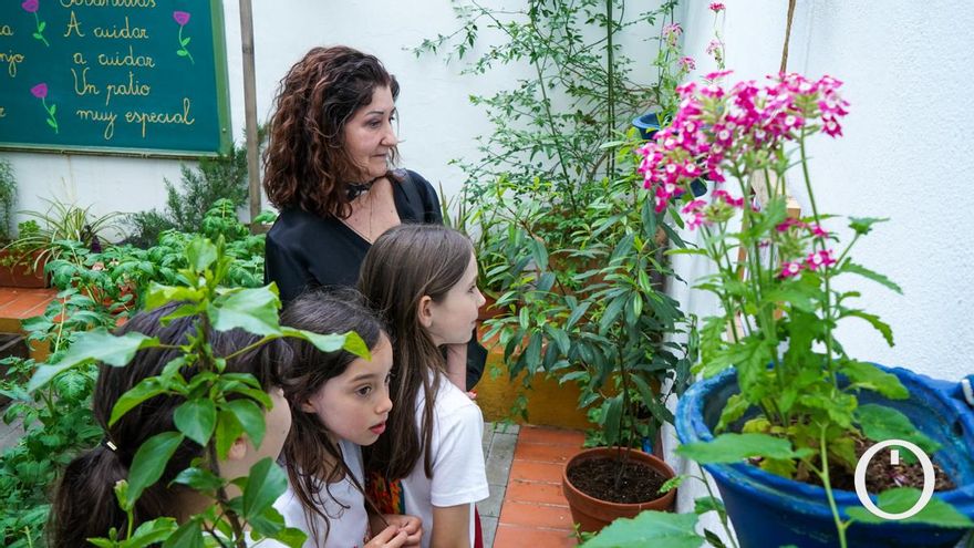 El patio del colegio López Diéguez que abre al público durante el concurso oficial, en imágenes