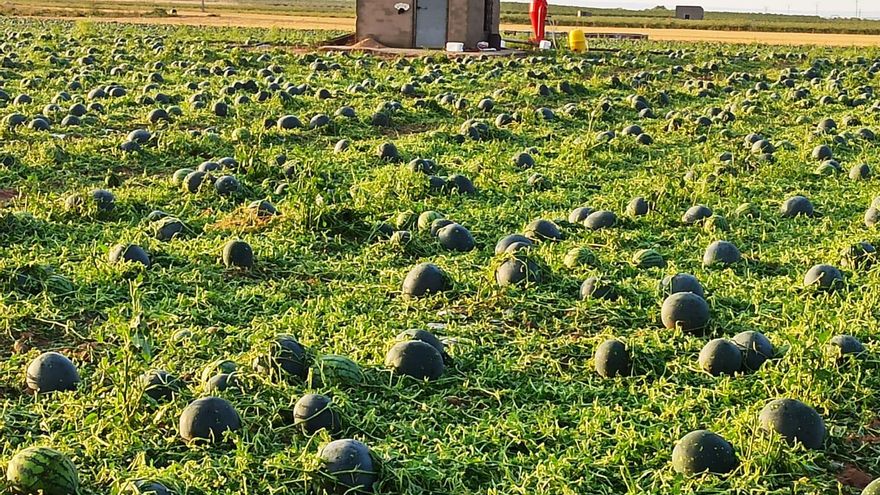 Ciudad Real y Toledo, las provincias más afectadas por las tormentas de los últimos días