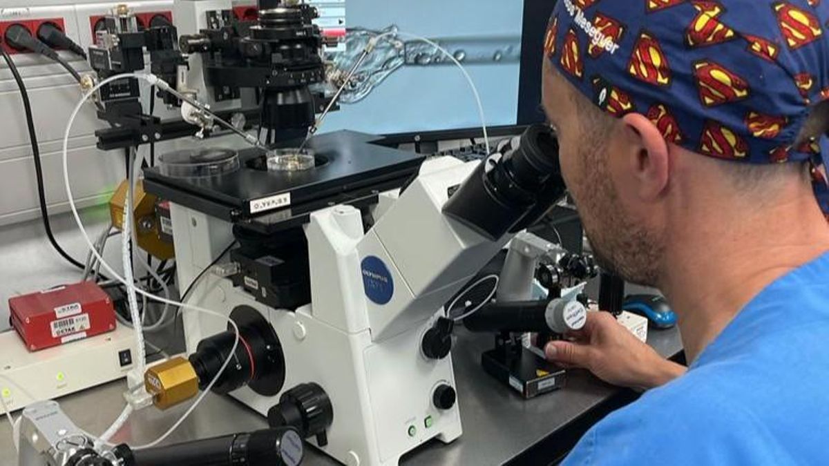 El IVI es referente mundial en investigación sobre infertilidad.