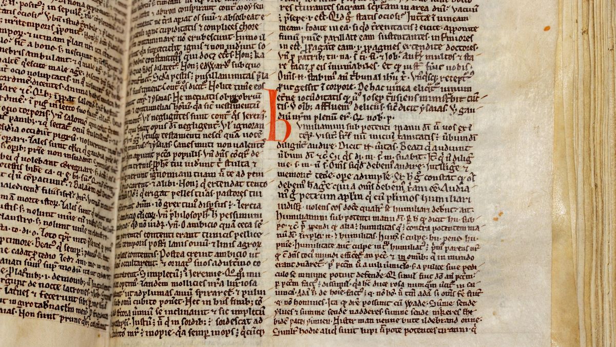 Parte del sermón que menciona a Wade en Peterhouse MS 255. La palabra «Wade» aparece cuatro líneas más arriba, la tercera palabra desde la derecha. «Lupi» (lobo) aparece en la última línea, cinco palabras desde la izquierda.