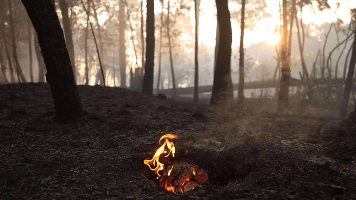 Casavieja pide ayuda tras el incendio de Ávila y las lluvias que la han dejado sin agua