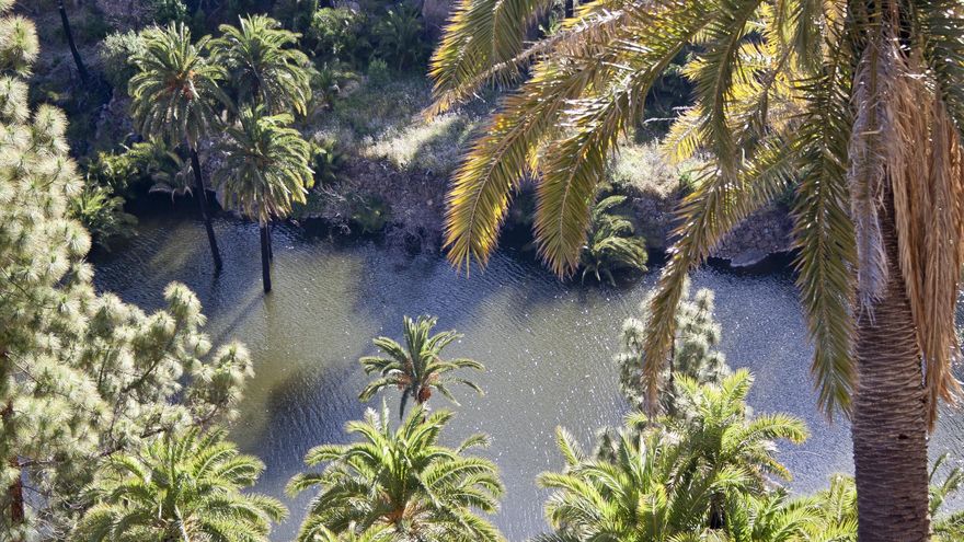Ben Magec pide un pacto para cambiar la Ley de Aguas de Canarias: “Es anticonstitucional y nos lleva al colapso hídrico”