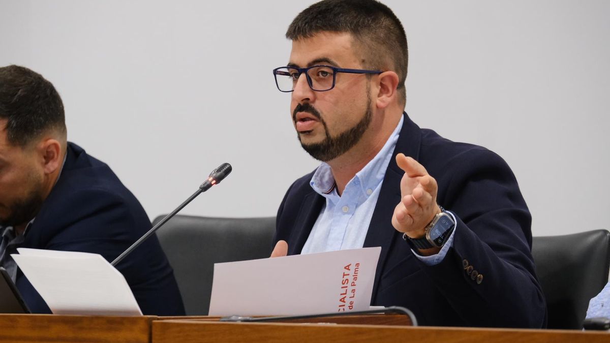 Borja Perdomo, portavoz del Grupo Socialista del Cabildo de La Palma.