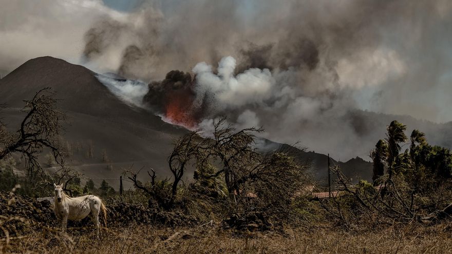 El volcán ruge en la cumbre de La Palma, emanando lava y cenizas en su undécimo día de erupción