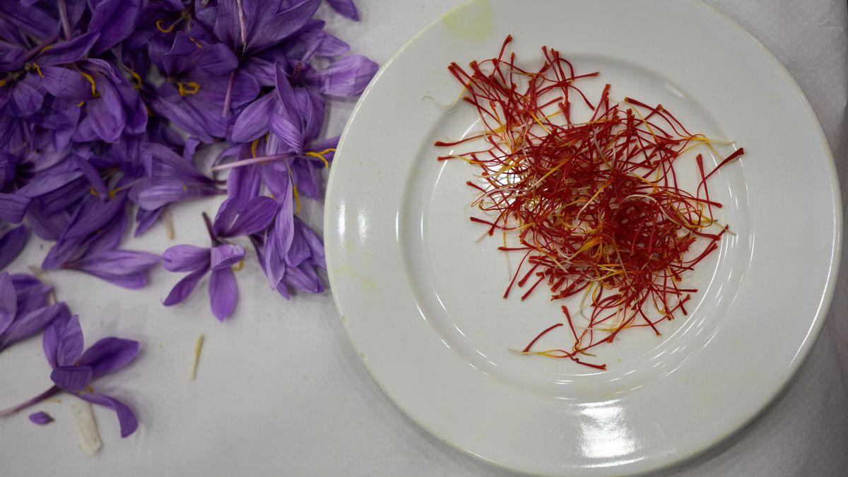El azafrán de la Mancha tiene que resolver “otros problemas” antes que aprovechar las dificultades de Irán para exportar