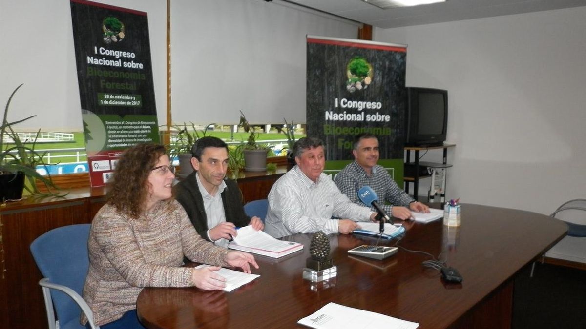 La bioeconomía forestal podría crear en Cantabria hasta 2.000 puestos de trabajo a medio plazo