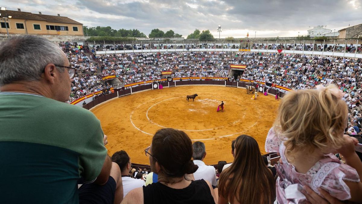 Mallorca passa de prohibir els toros a omplir places: “Les institucions inflen artificialment aquest espectacle”