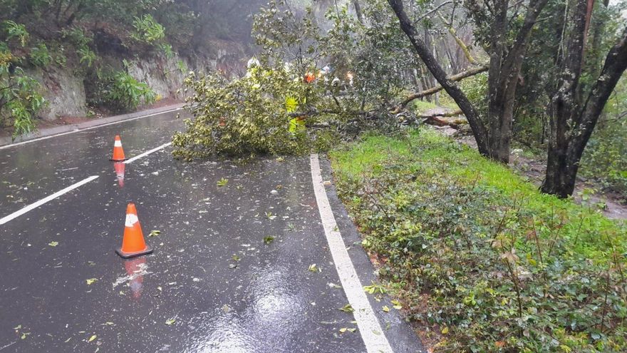 Caída de ramas en una carretera de La Gomera