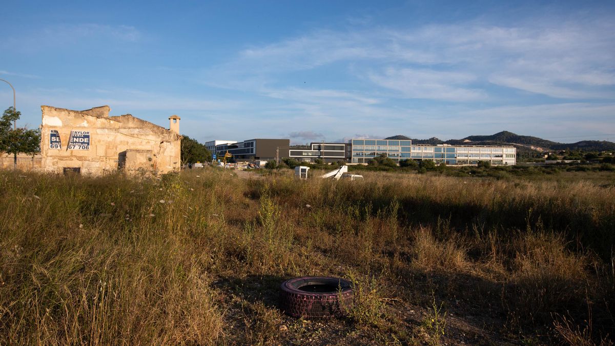 Els afores de Manacor