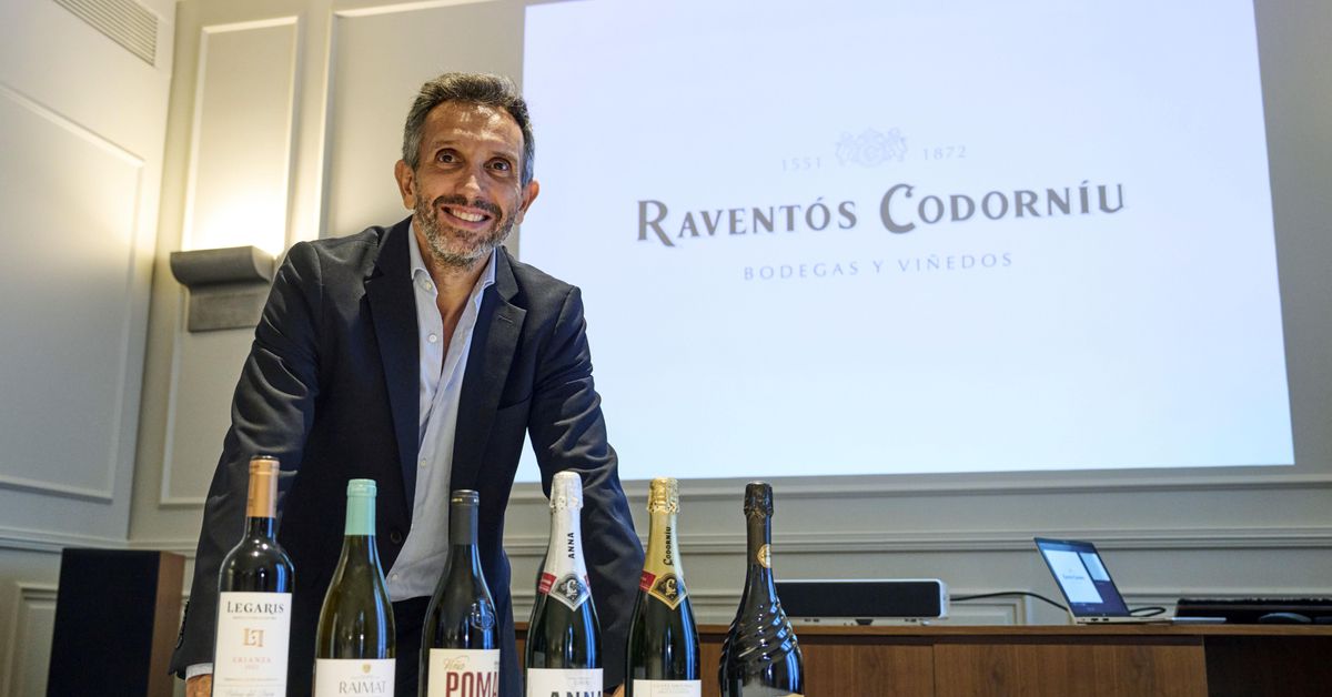 Raventós Codorníu cierra el último año con resultado récord y mantiene abierta la salida de Carlyle de su accionariado