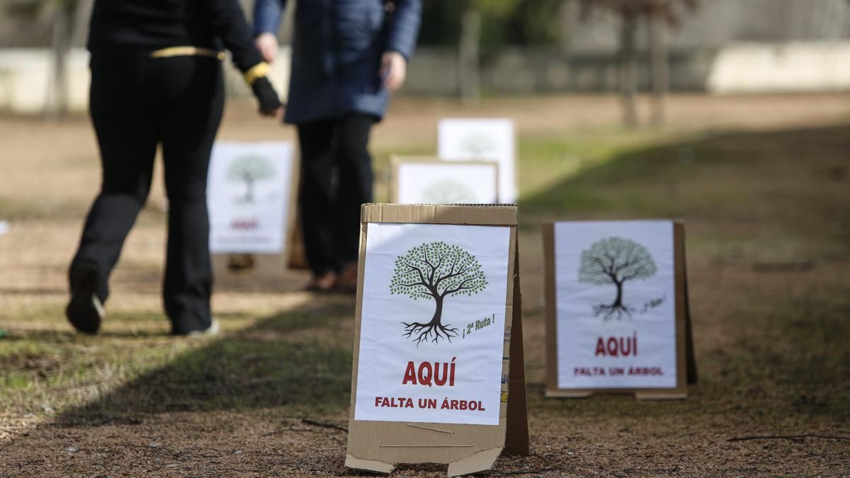 AAVV Axerquía y Regina-Magdalena realizan la actividad 'Aquí falta un árbol' en el Parque de Miraflores