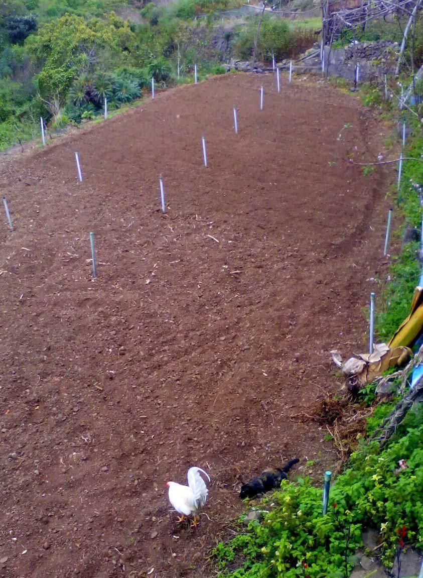 Tierra labrada. ÓSCAR LORENZO