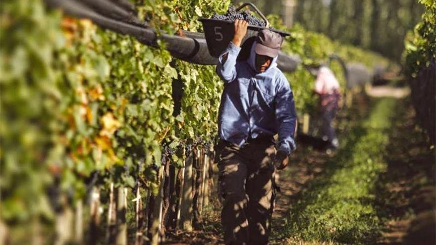 Crisis climática: la suba de la temperatura provocará pérdidas de 1,6 billones de dólares en la productividad laboral del mundo