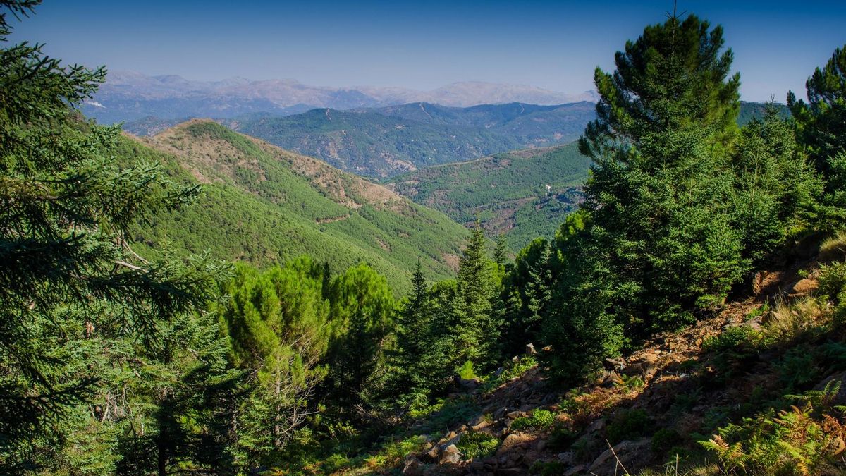El ‘coloso’ de Málaga que ofrece vistas a la Costa del Sol para la práctica de senderismo y ciclismo: así es Peñas Blancas en Estepona