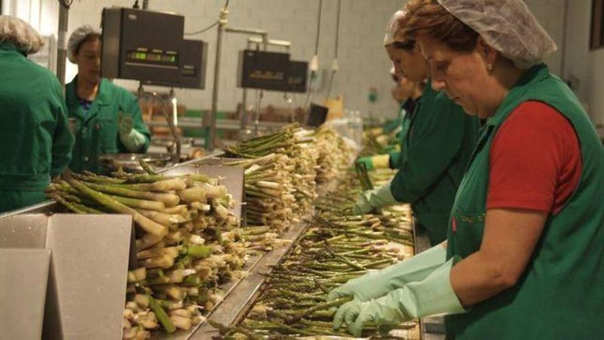 Mujeres trabajadoras