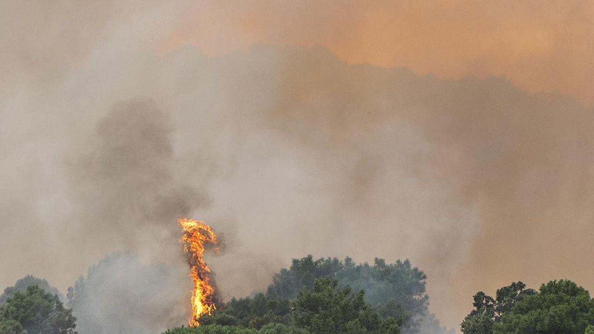 “Malestar” entre bomberos de los parques nacionales por no haber sido movilizados: “Contamos con medios y formación”