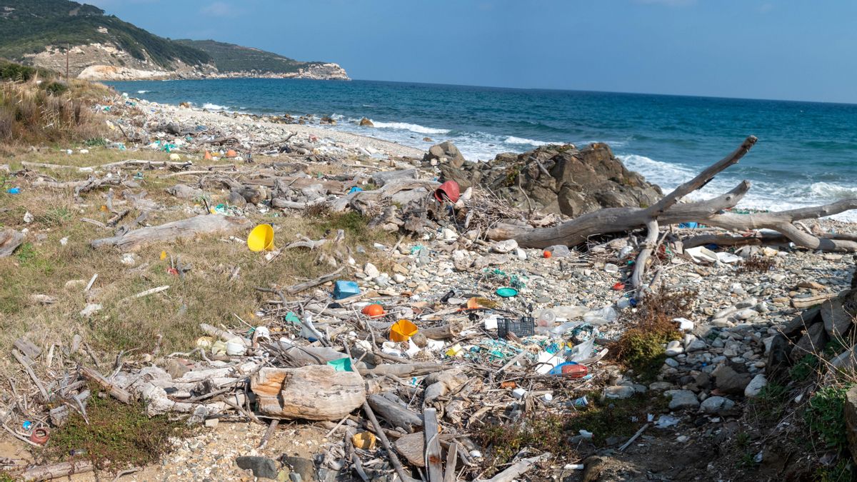 Archivo | La desprotección de Cabo Cope-Calnegre se hace especialmente patente cuando las crecidas de las ramblas depositan en su litoral toneladas de residuos plásticos, principalmente provenientes de la agricultura intensiva.