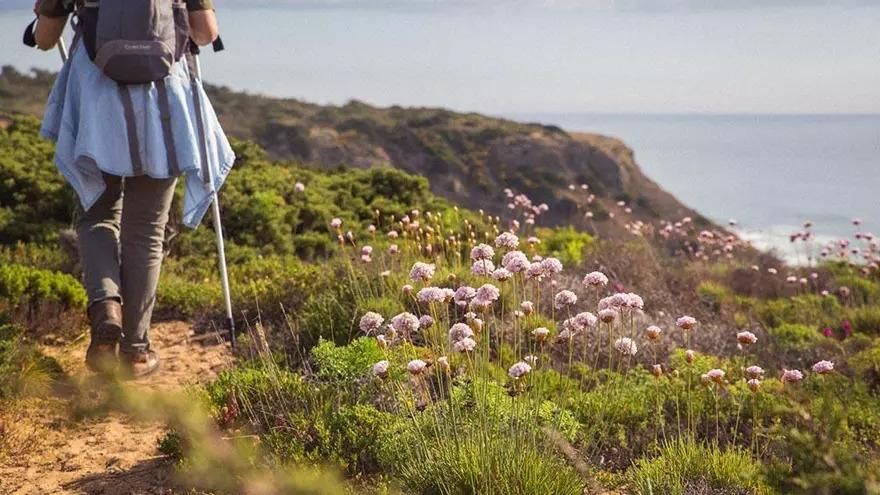 Entre acantilados y playas salvajes: así es la Ruta Vicentina, uno de los grandes recorridos de la costa portuguesa