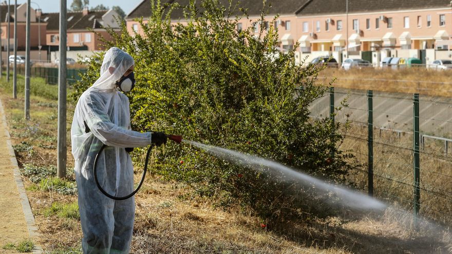 Coria del Río fumiga zonas verdes y parques para luchar contra el virus del Nilo