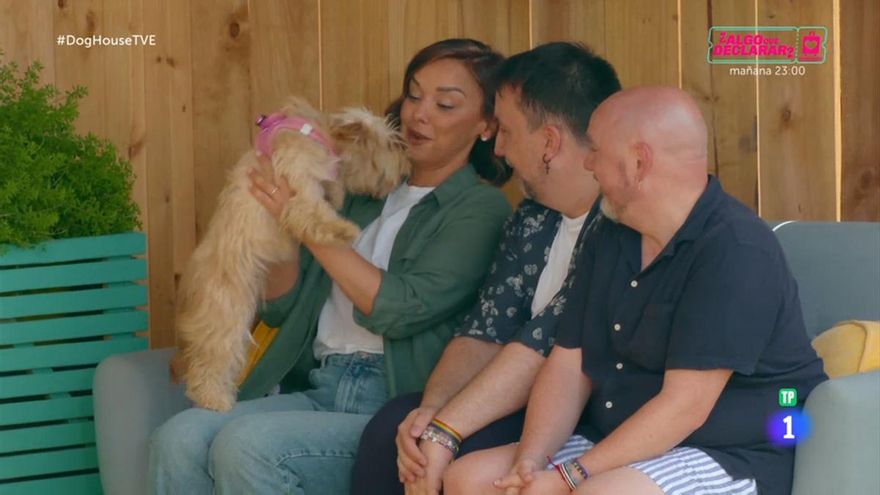 'Dog House', la emocionante mezcla de servicio público y rendimiento que RTVE puede convertir en otro 'Grand Prix'