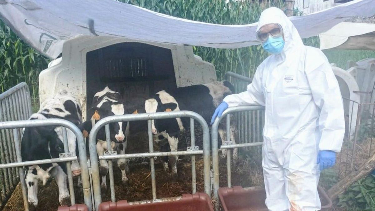 Inspección de Trabajo alerta: "Medio Rural de Asturias incumple normas de prevención para el personal veterinario"