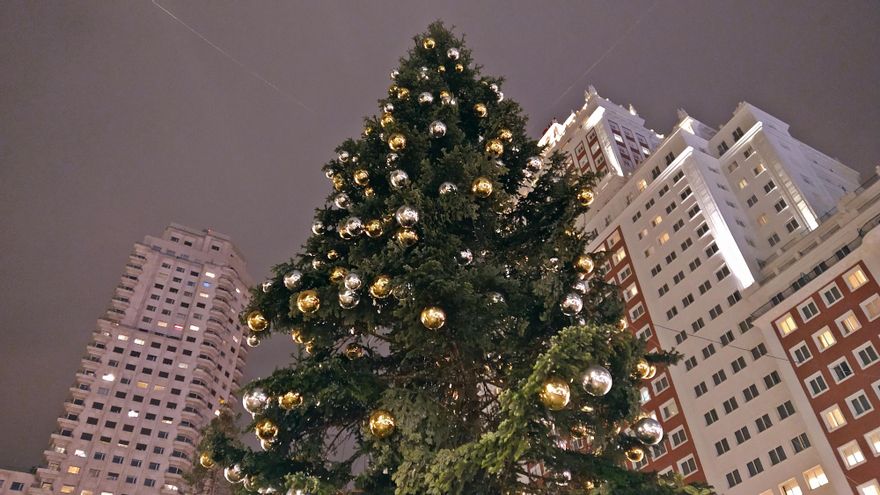 Abeto natural colocado en Plaza de España este 2022