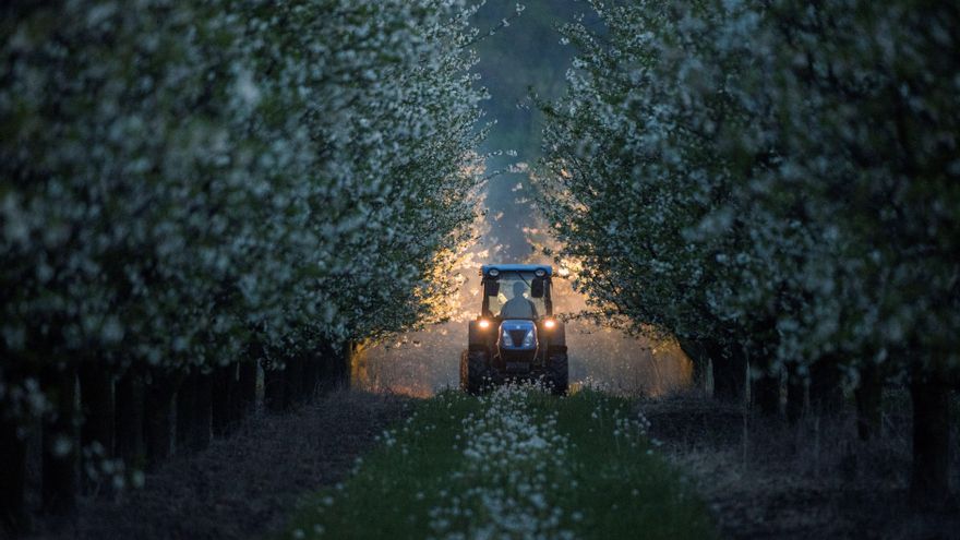 Bruselas fija reglas para reducir a la mitad el uso de pesticidas químicos en la UE de aquí a 2030