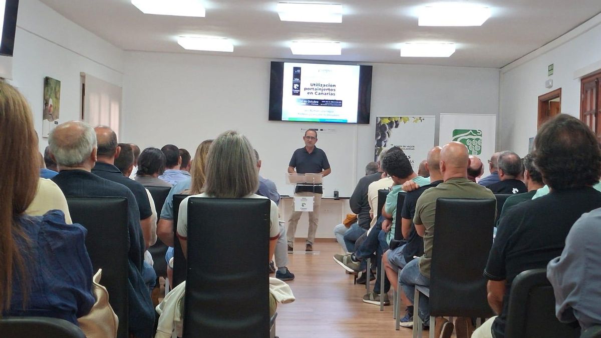 Momento de la jornada celebrada este miércoles en La Guancha dentro del Campus del Vino de Canarias.