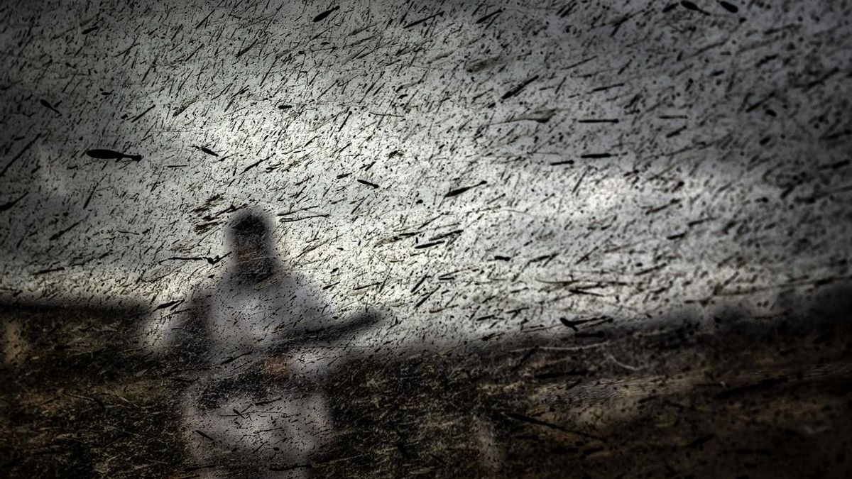 Una de las fotografías de 'Click' 2018. | ANTONIO ARAGÓN