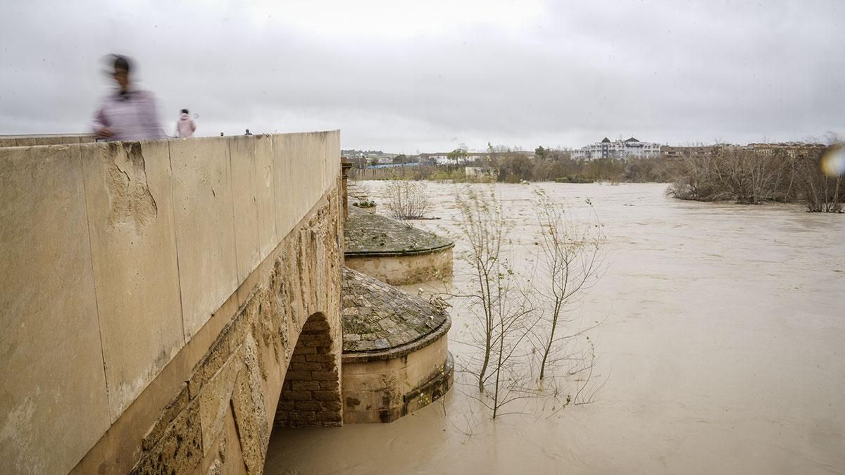 El cauce del río Guadalquivir sigue subiendo a su paso por Córdoba