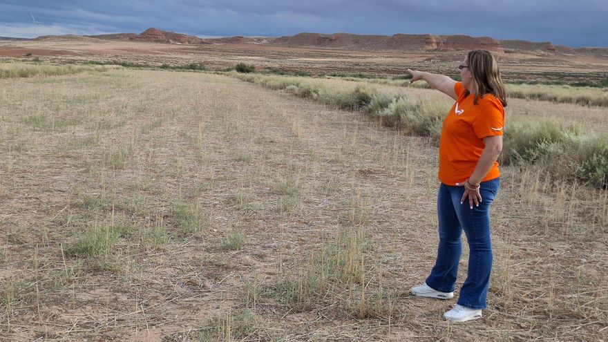 El pueblo sin agua potable donde un diputado del PP quiere aprobar macrogranjas en suelo de su familia: “Van a echarnos de aquí”