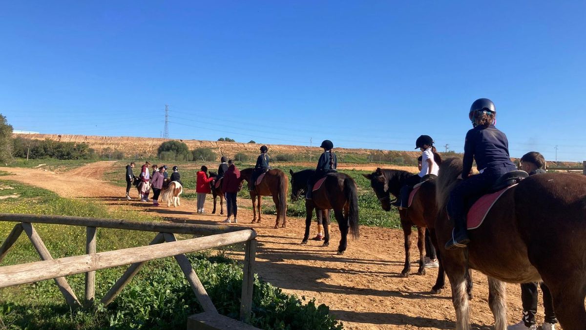 La Herradura, un espacio de crecimiento y sanación para personas y caballos