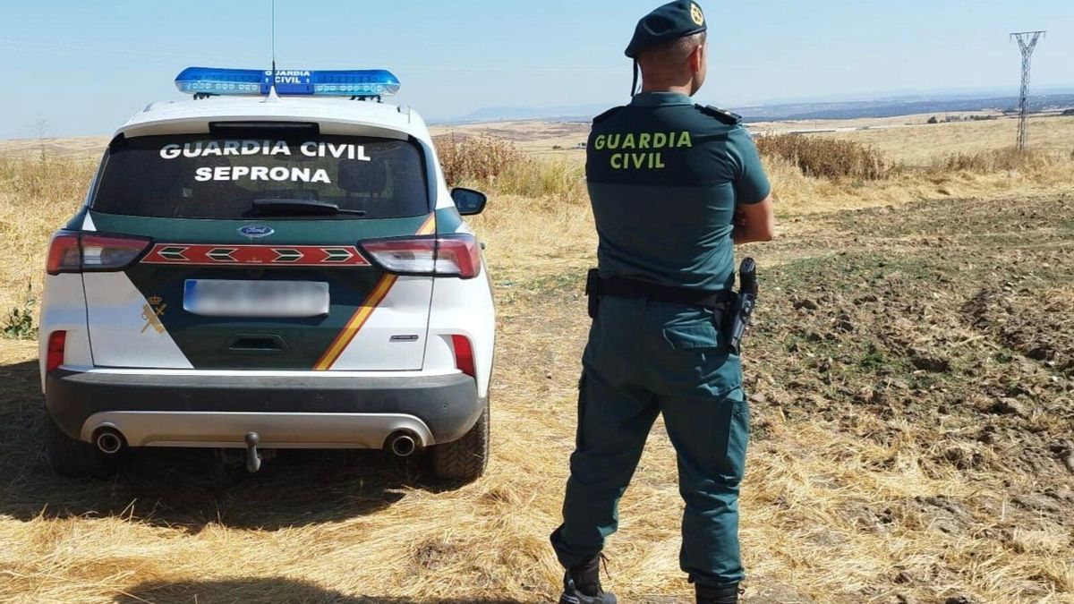 Investiguen dues persones després de trobar dos cavalls morts i un altre agonitzant en una finca de Menorca