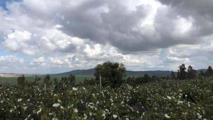 Vista desde el cerro Arropé (Cáceres) donde se quiere construir un centro budista