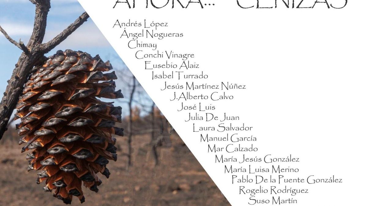 Una exposición fotográfica muestra en León las cicatrices que dejaron los incendios del verano de 2025