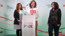 Soledad Cabezón llama a votar en los comicios europeos, "donde se juega mucho", para tener una "Europa social"