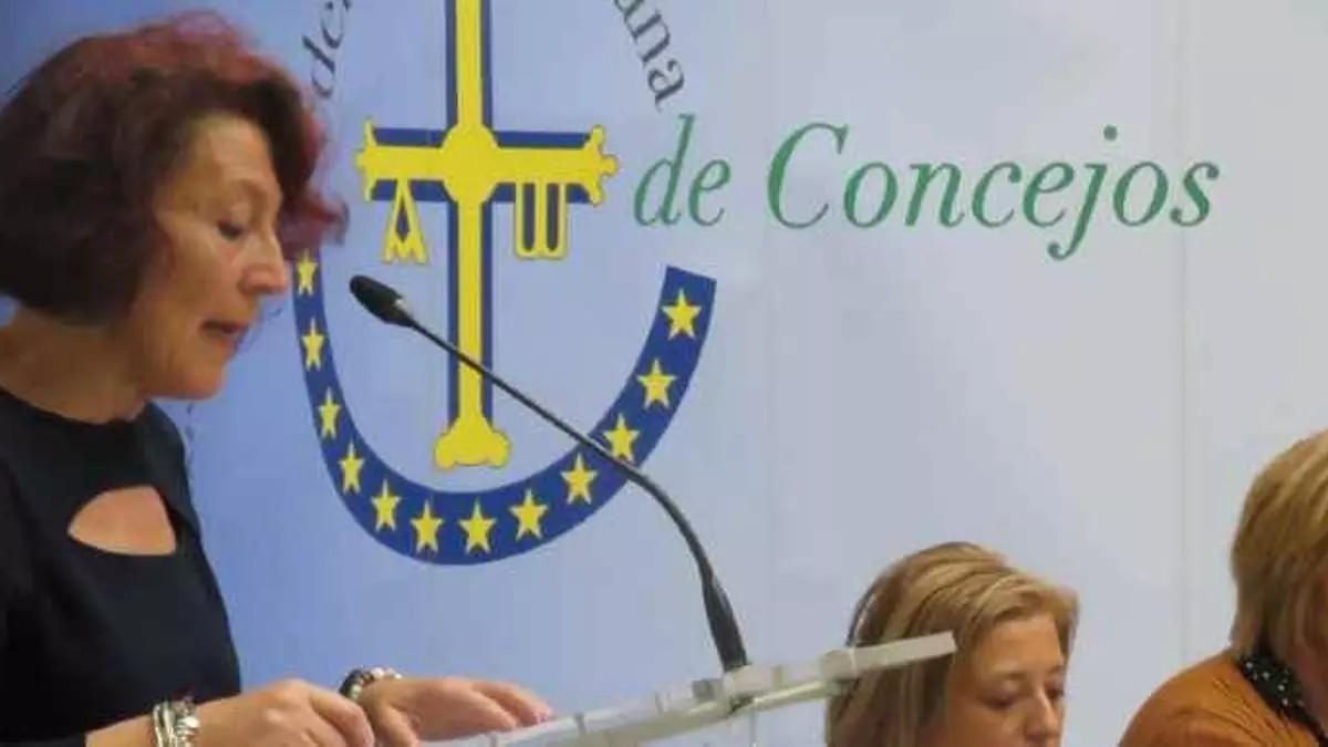 La Federación Asturiana de Concejos se suma a la exigencia de supresión del peaje del Huerna