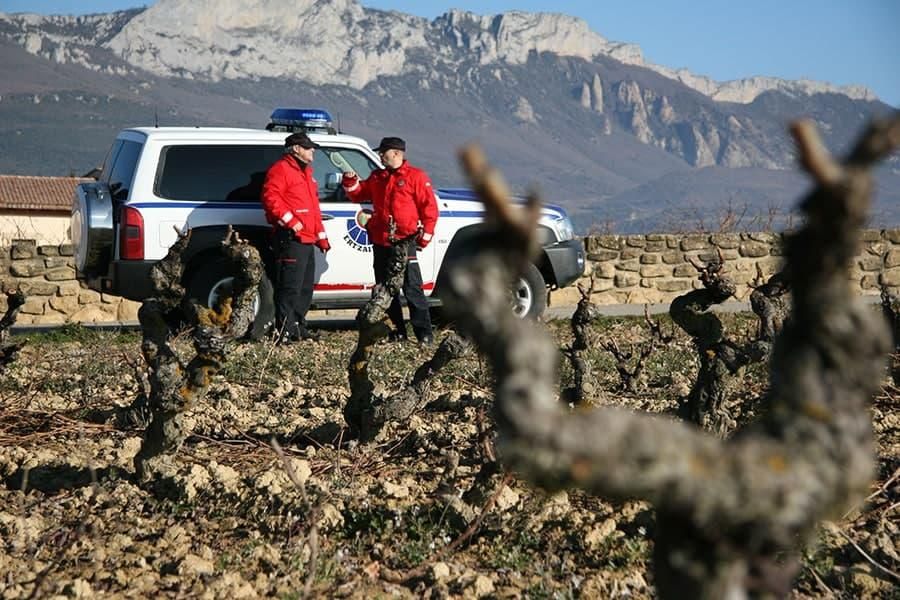 Una patrulla, en las viñas de la Rioja Alavesa