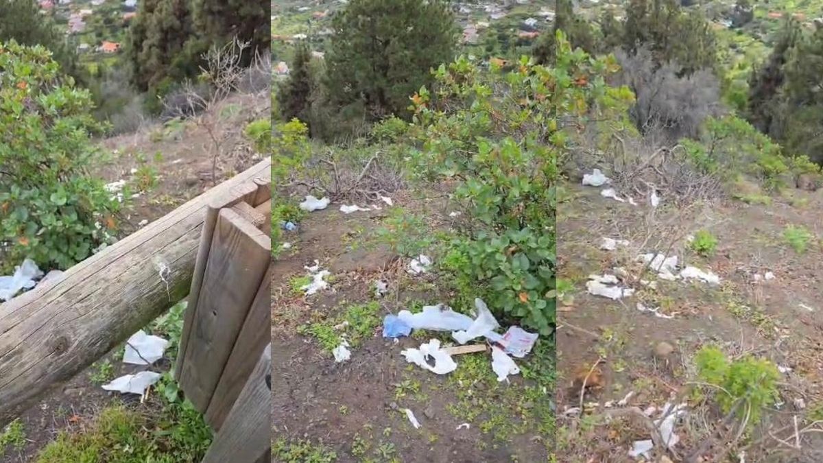 CC de Breña Baja denuncia “el abandono y la mala imagen” del Mirador de la Montaña de La Breña