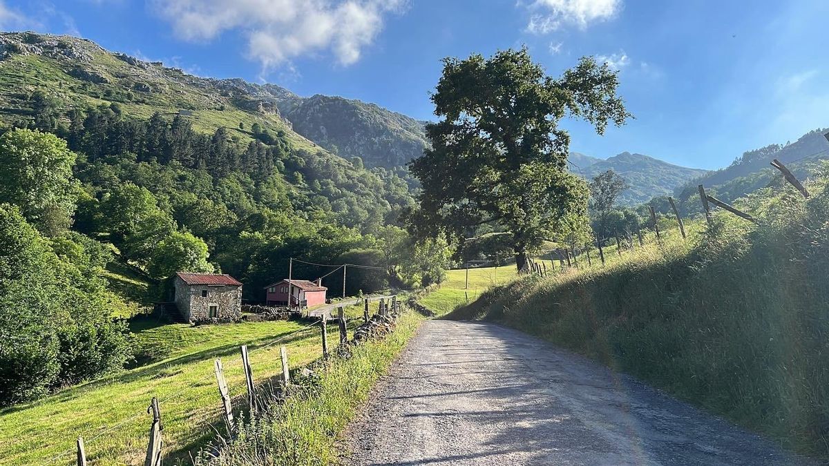 Cantabria refuerza la red de caminos rurales con 5,1 millones de inversión y 57 kilómetros reparados