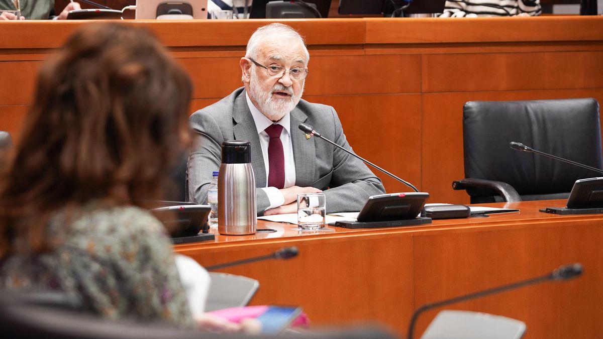 El gerente del Instituto Aragonés de Servicios sociales y en marzo de 2018 subdelegado del Gobierno en Zaragoza, Ángel Val, en una comparecencia en las Cortes de Aragón.