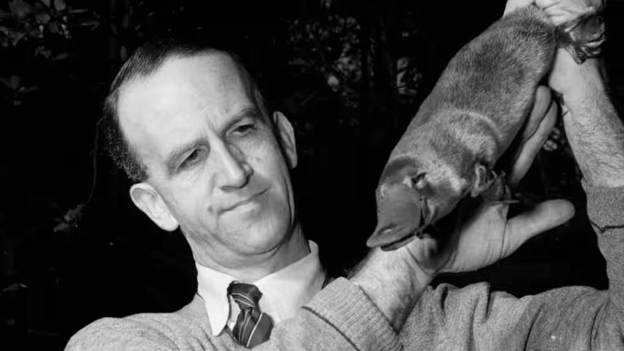 El plan de enviar un ornitorrinco a Churchill en 1943 terminó con el animal muerto y un fiasco diplomático