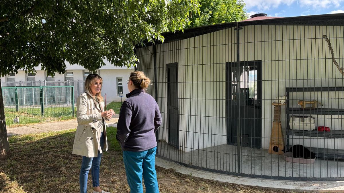 Centro de Acogida de Animales en Logroño
