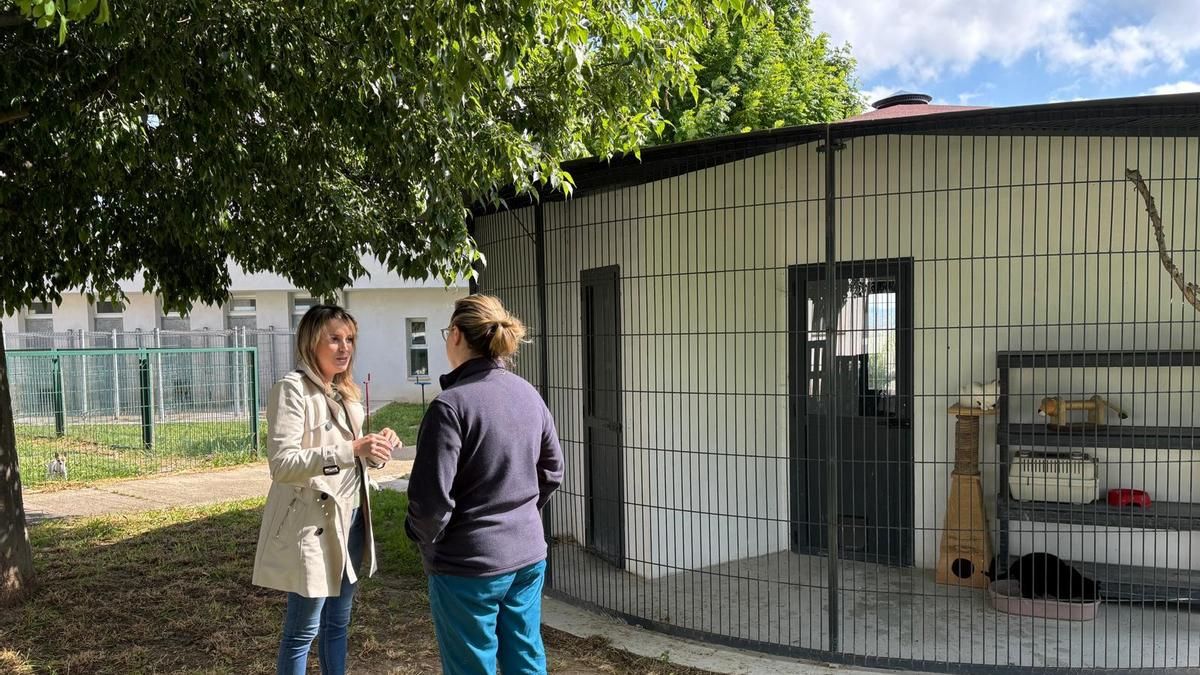 Cerca de dos millones de euros para el Centro de Acogida de Animales de Logroño
