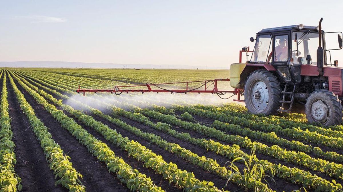 Día Mundial de la Agricultura: ¿por qué se celebra el 9 de septiembre?
